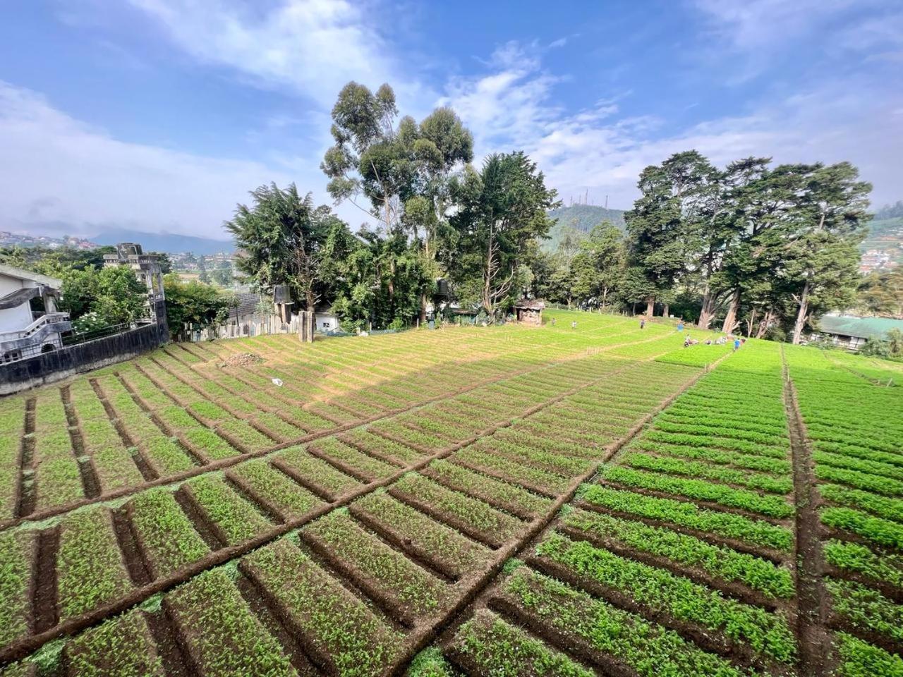 Lake View Residencies Nuwara Eliya Eksteriør bilde